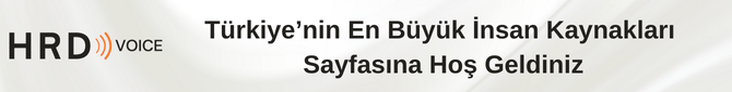 Bordrodan İş Analizine, <span class="theme-gradient">Profesyonelliğin Anahtarı </span> Bizde! 